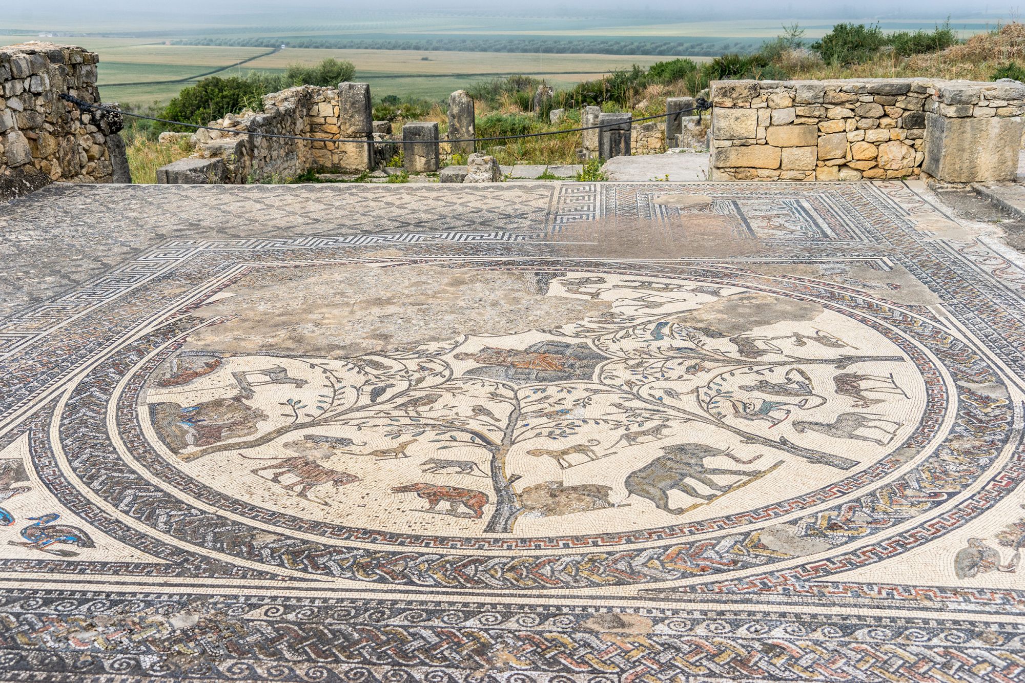 Uno dei mosaici che si possono ammirare alle rovine romane di Volubilis, a poca distanza da Meknès © oBebee / Shutterstock