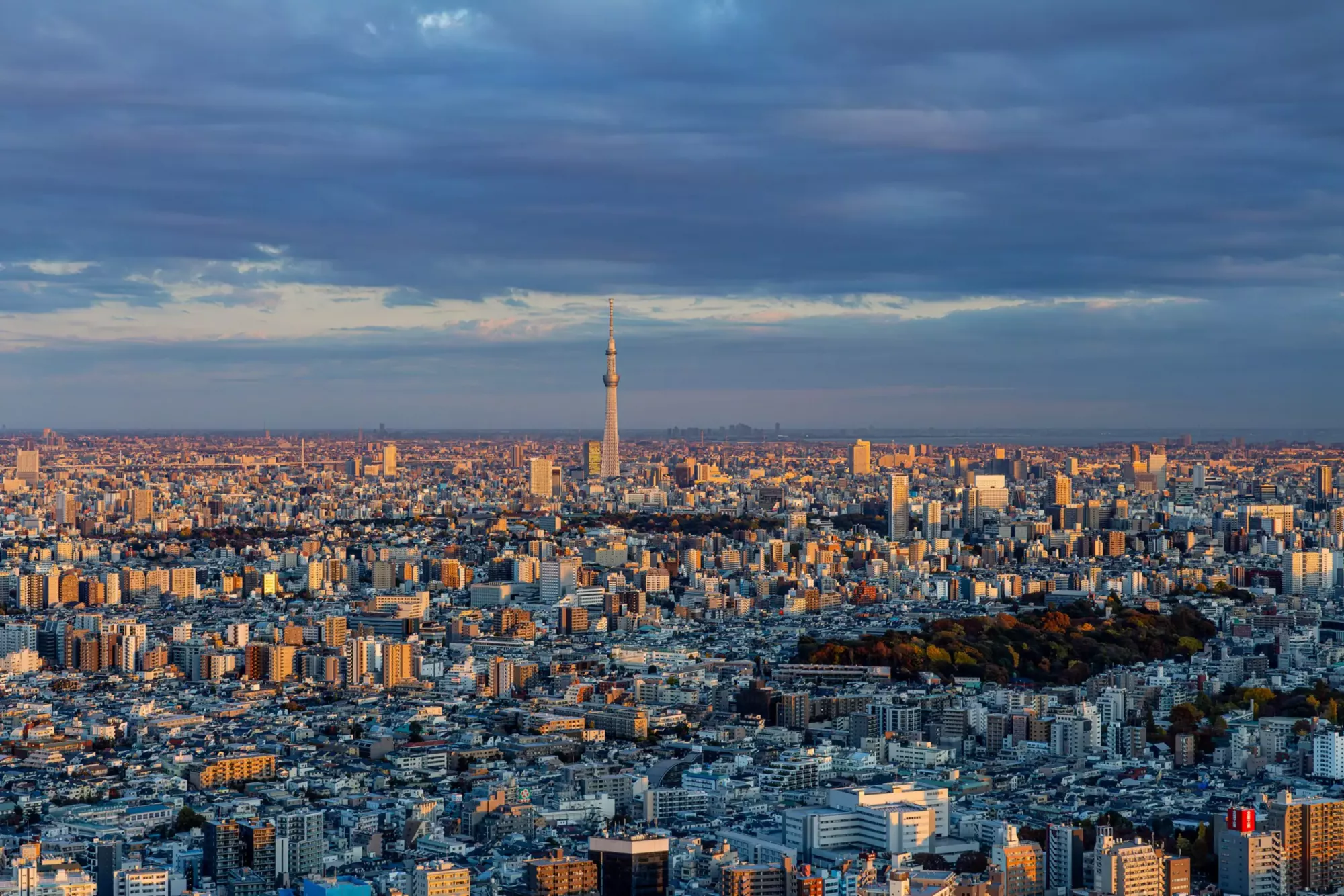 Il panorama dal Sunshine 60 Tenbou Park. © Laura Studarus
