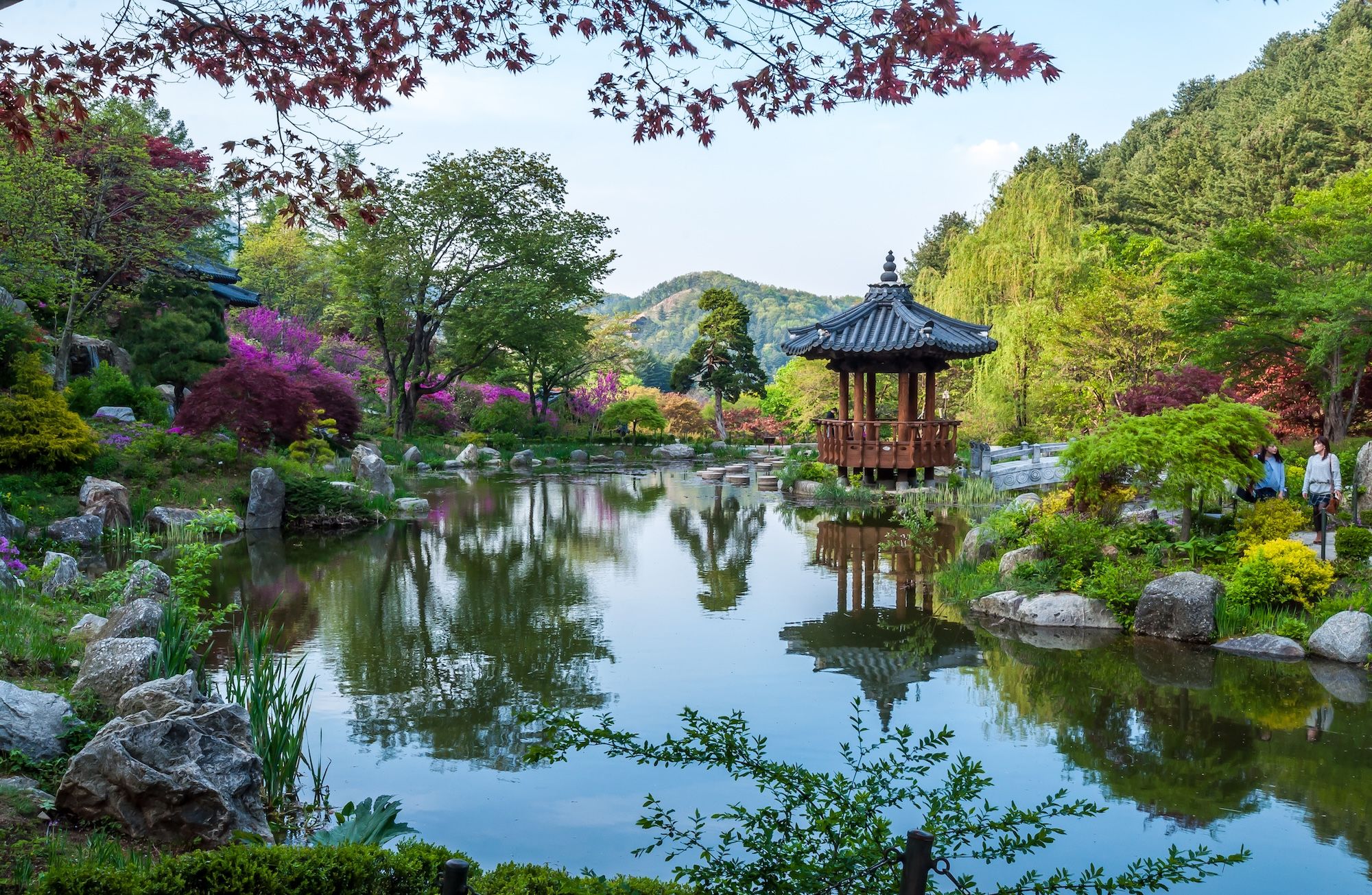 Il Garden of Morning Calm di Gapyeong ©MyPixelDiaries/Shutterstock