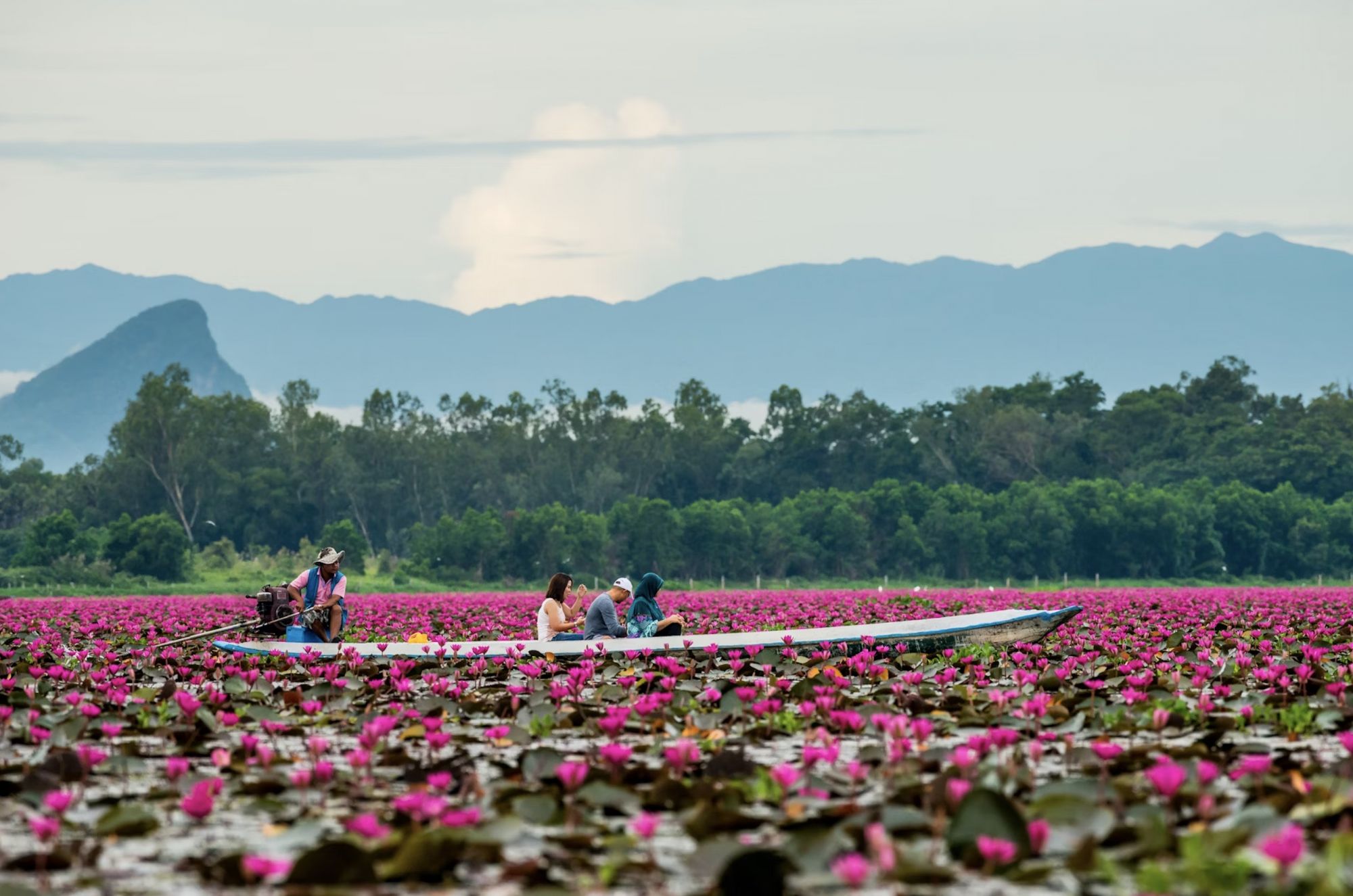 Una gita in barca attraverso il "mare" di fiori di loto nella riserva di Tale Noi © Shutterstock / joesayhello