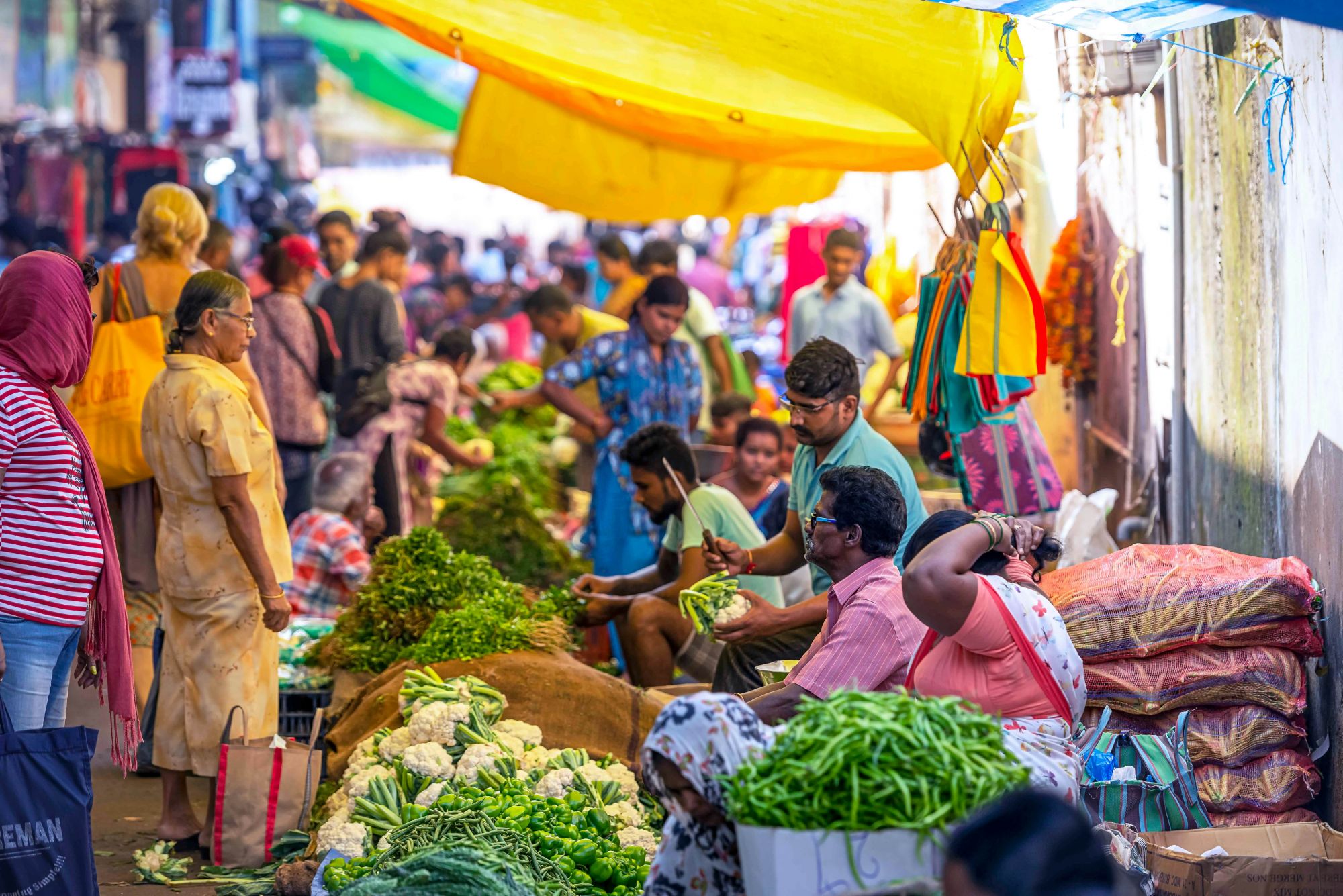 Banchi di verdura al mercato di Mapusa. © leshiy985/Shutterstock