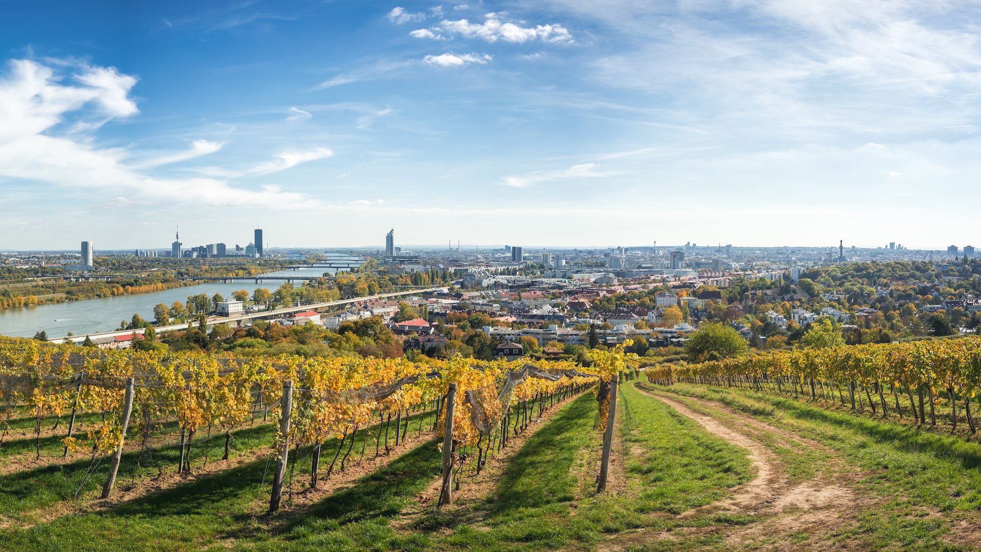 Vienna vista dai vigneti che la circondano © novama/Shutterstock