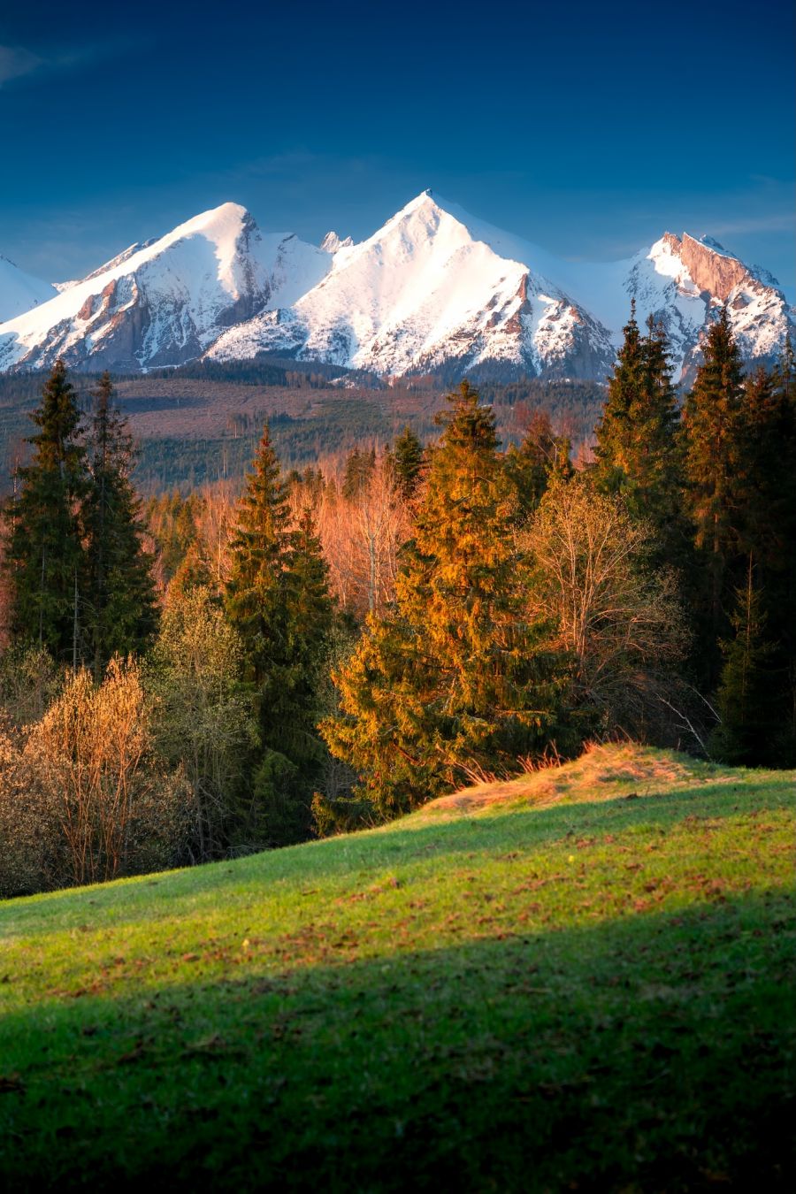 I Tatra in autunno visti da Łapszanka © Tomasz Podolski / Shutterstock