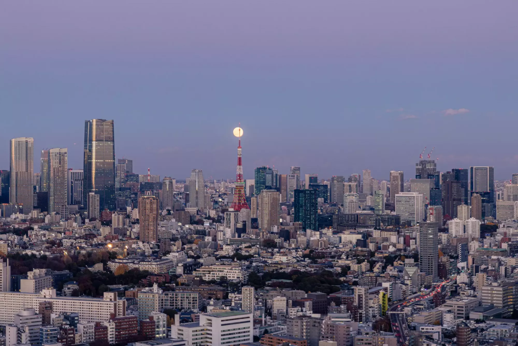 La vista dallo Yebisu Garden Place. © Laura Studarus