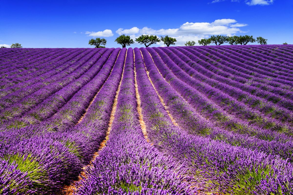 cosa vedere in provenza in una settimana