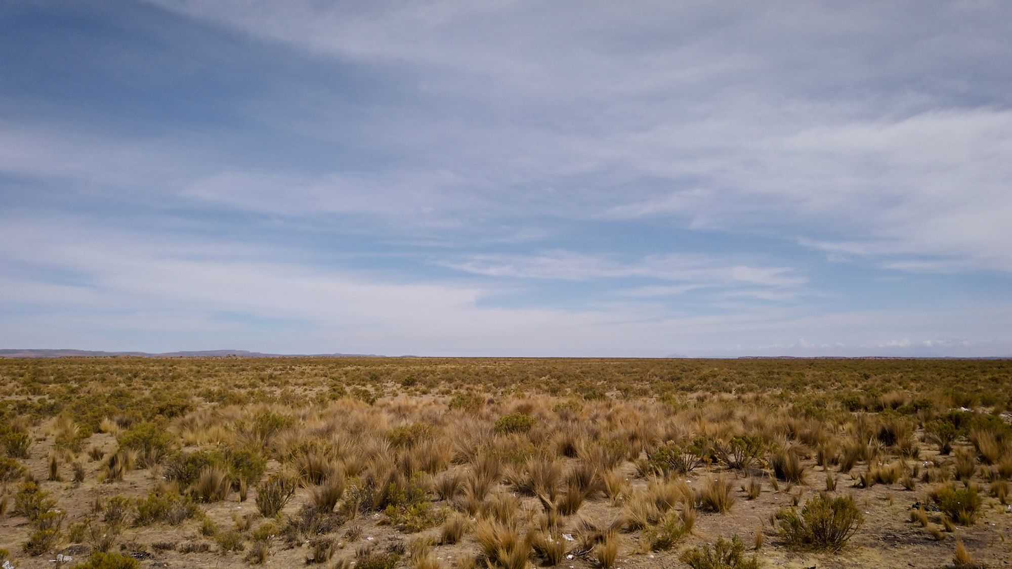 Lungo la strada che da Patacamaya porta a Tambo Quemado, Bolivia ©Lisa Zillio