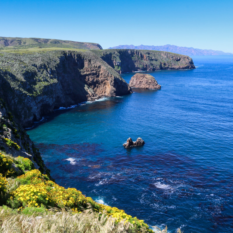 Le  Channel Islands sono conosciute come le ’Galápagos del Nord America’ ©Bram Reusen