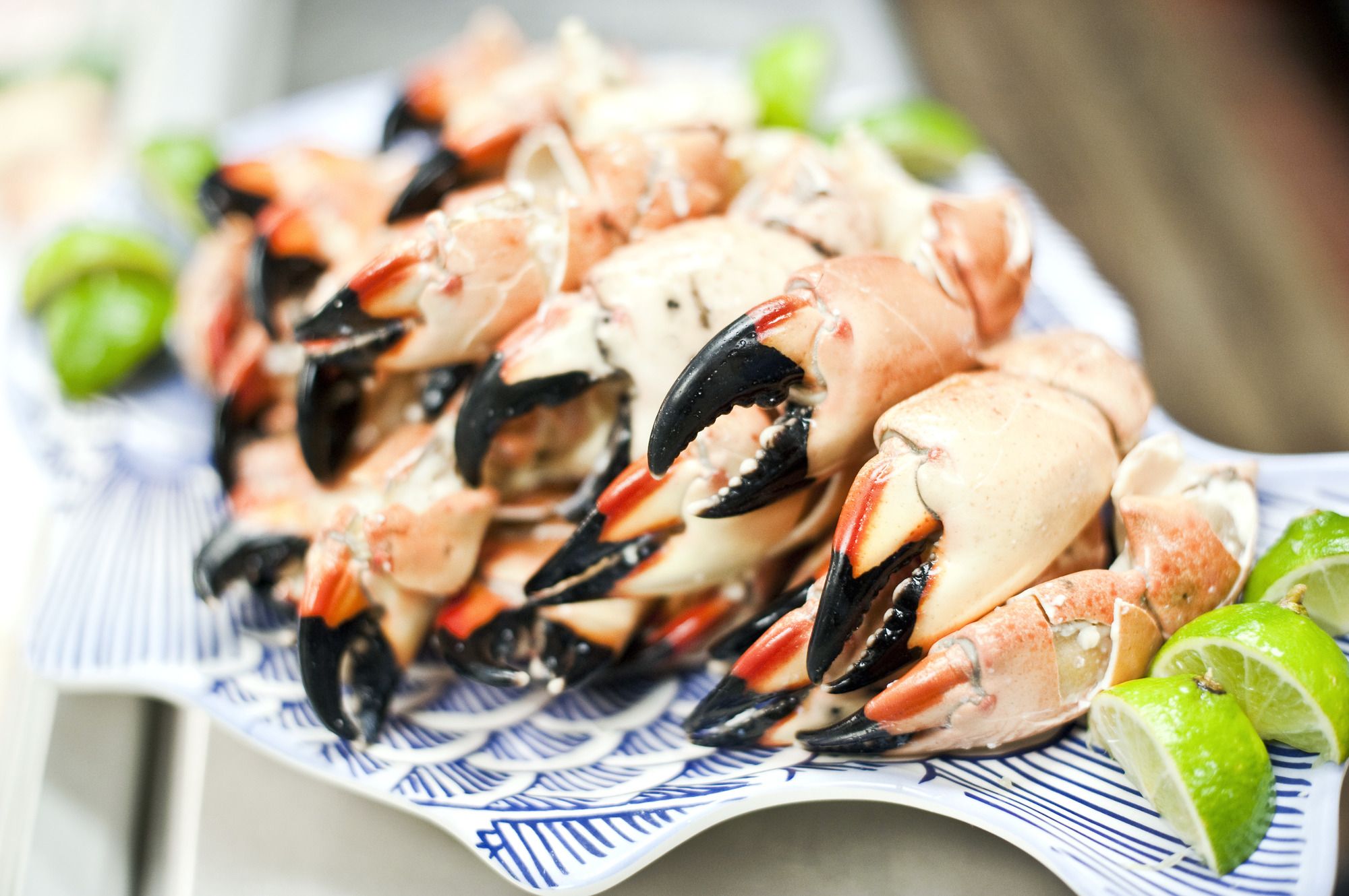 Un piatto di stone crab