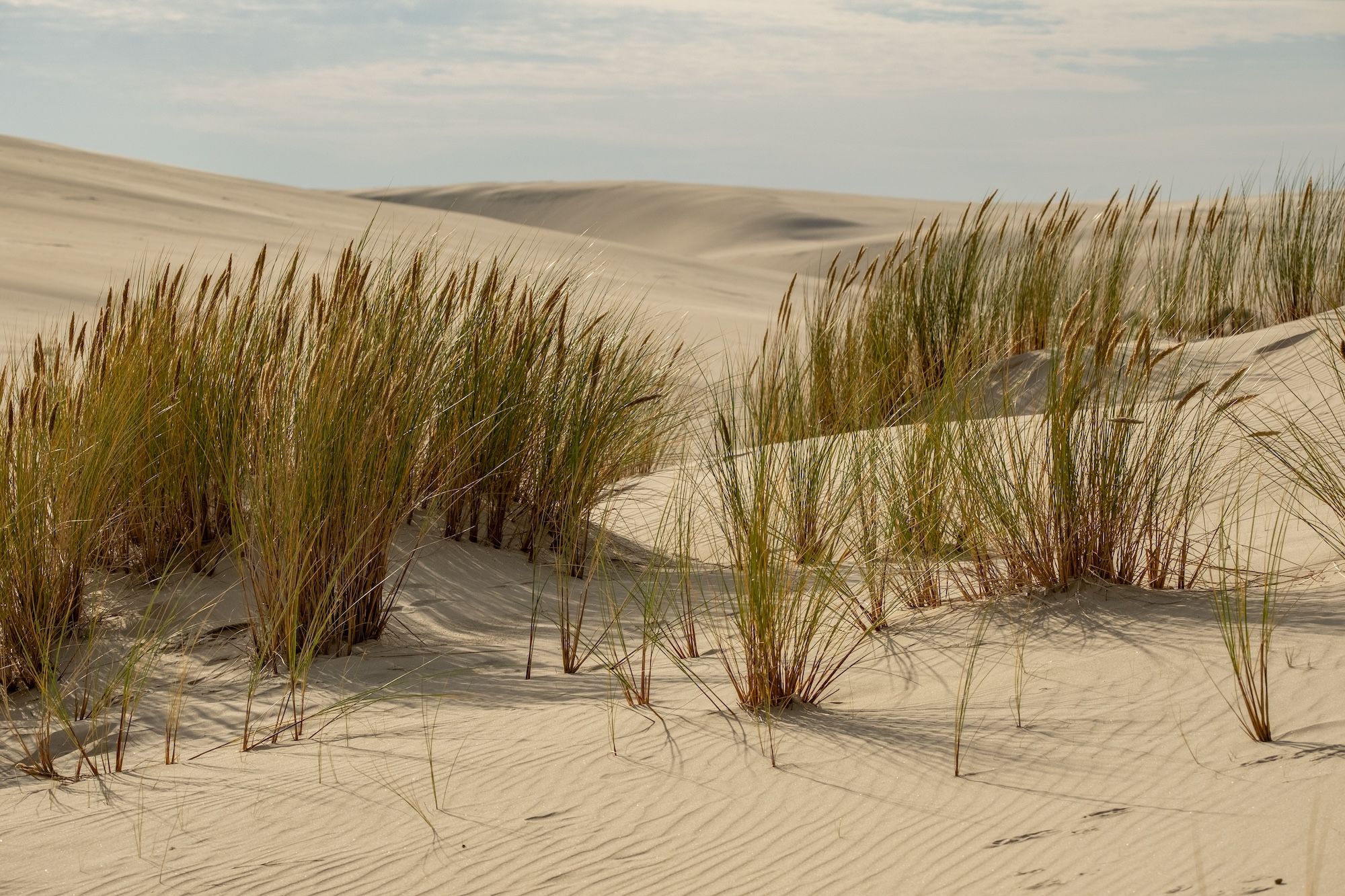 Le dune mobili ©Lukasz Gasiecki /Shutterstock