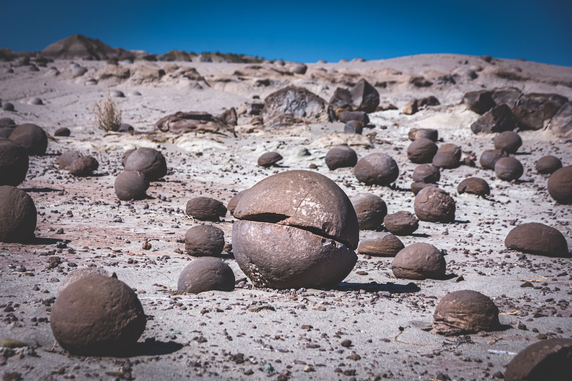 Prevedete un’escursione guidata al Parque Provincial Ischigualasto
©Walter Trentin/Shutterstock