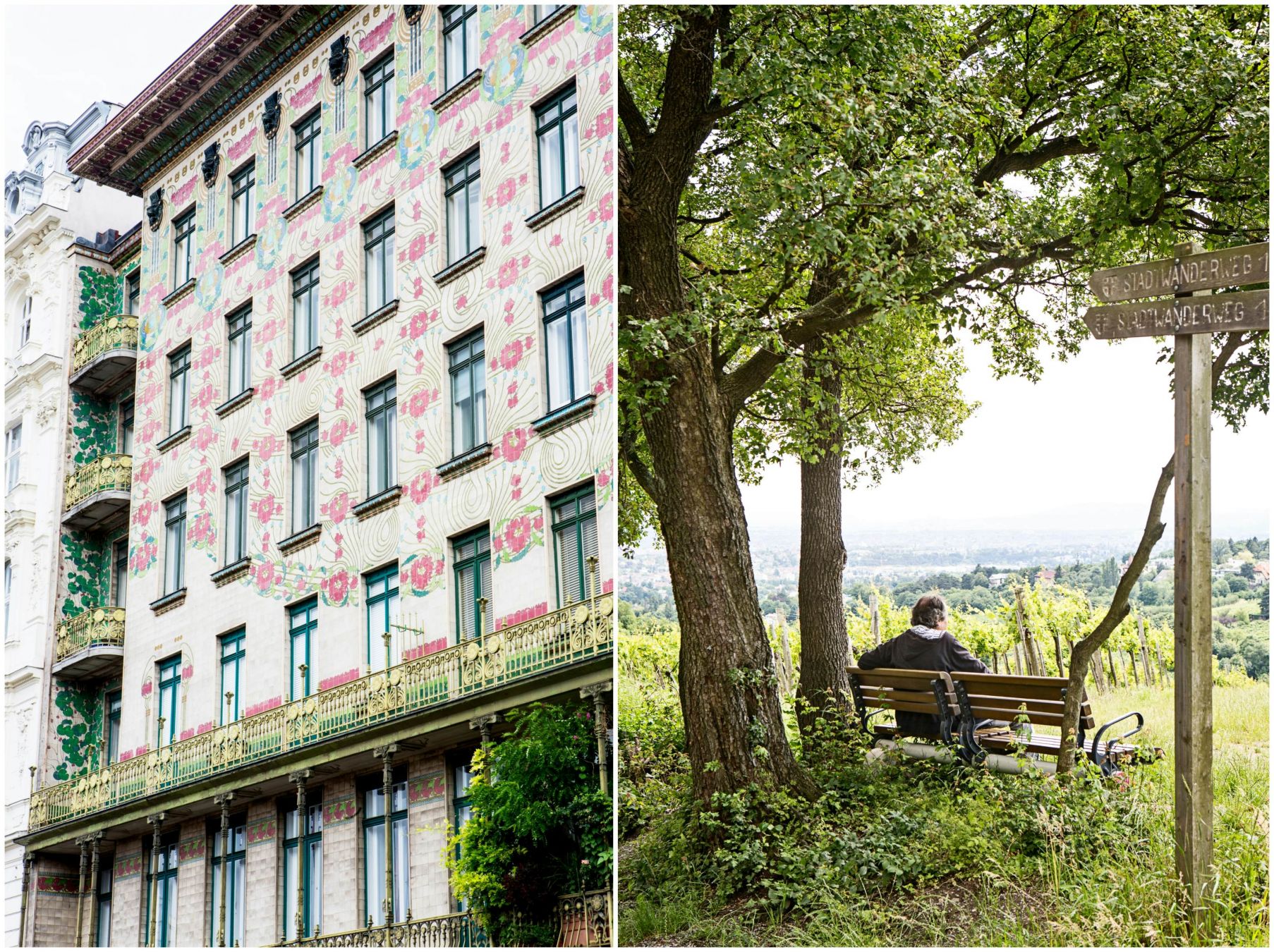 La Majolikahaus, con i fiori sulla facciata, e la passeggiata verso Sirbu. © Helen Cathcart/Lonely Planet