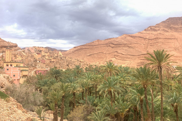 L’oasi di Afella-Ighir ©Giulia Grimaldi/Lonely Planet Italia