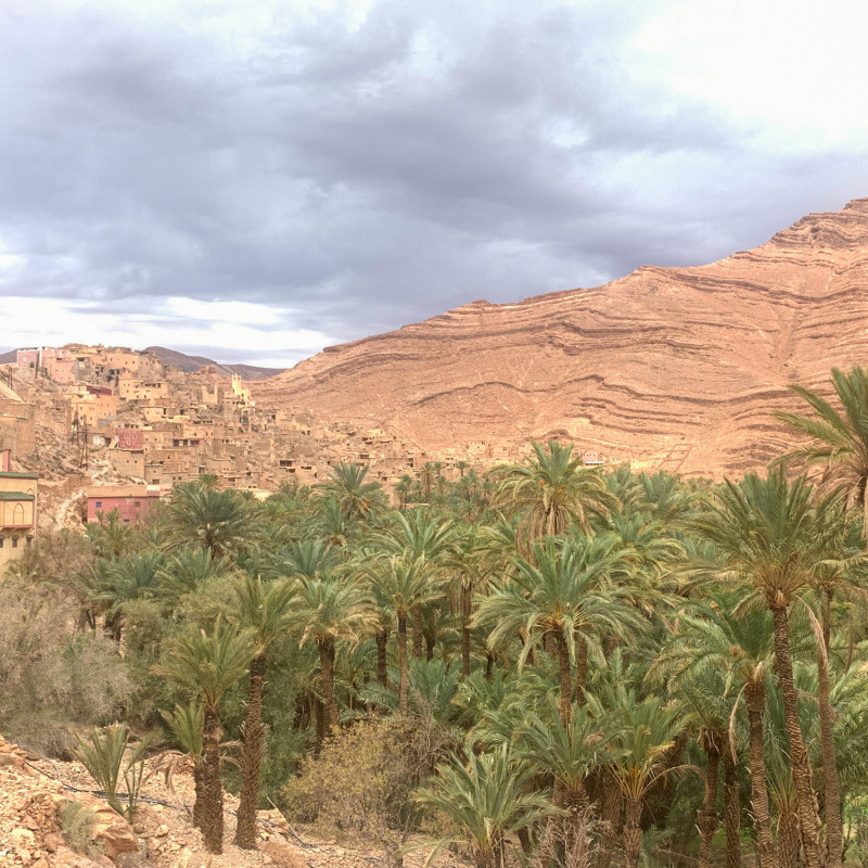 L’oasi di Afella-Ighir ©Giulia Grimaldi/Lonely Planet Italia