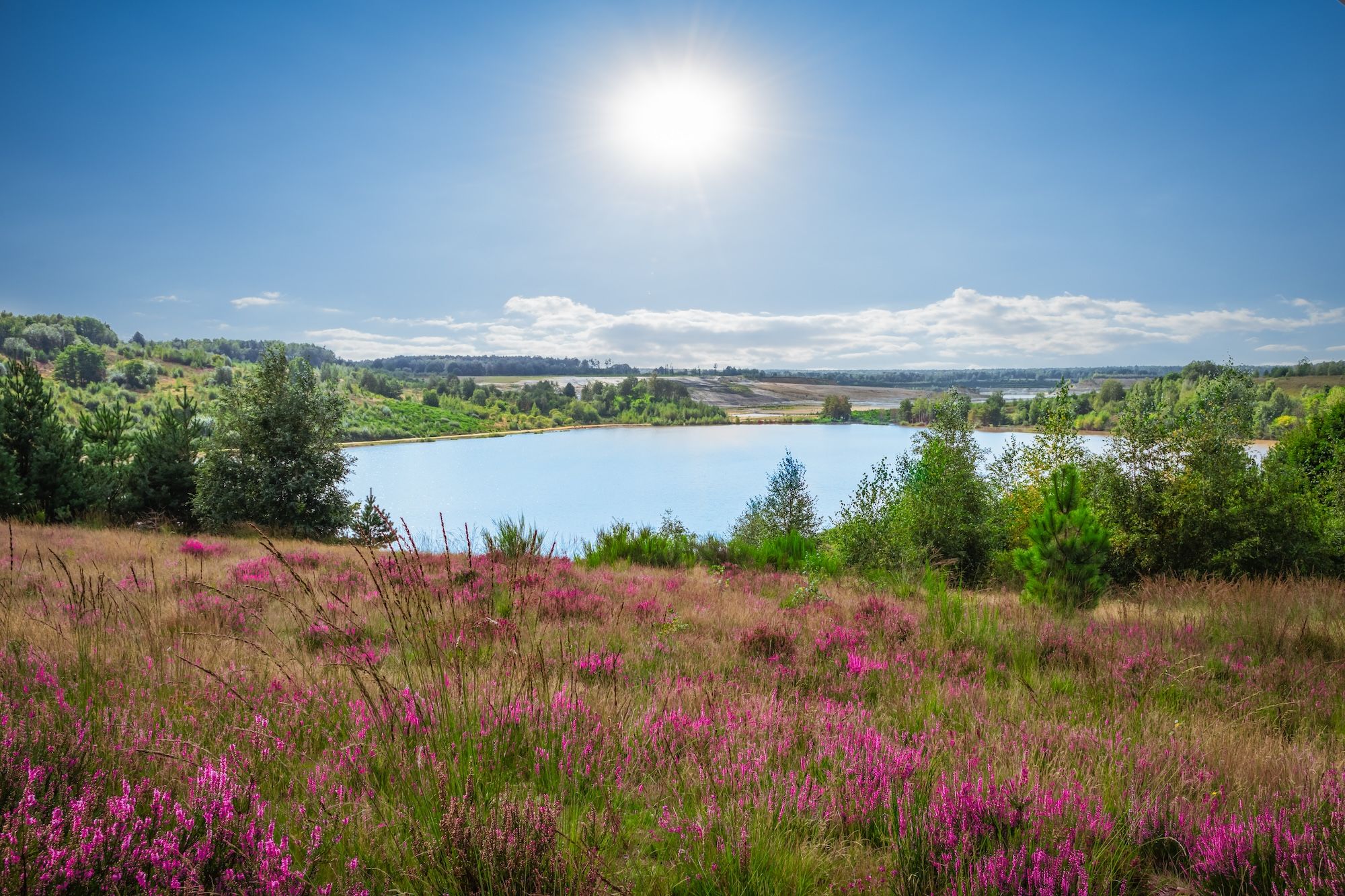 Il parco nazionale Hoge Kempen ©Nancy Pauwels/Shutterstock
