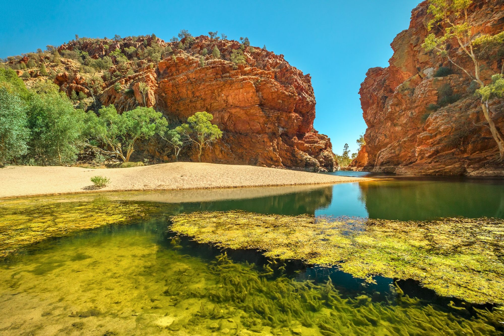 Ellery Creek Big Hole, uno degli stop lungo il Larapinta Trail ©Benny Marty /Shutterstock