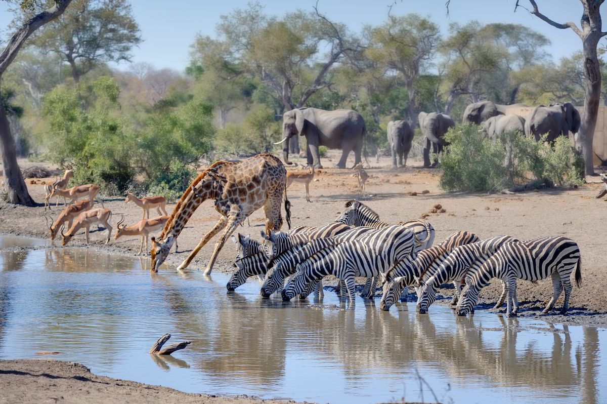 tour kruger national park