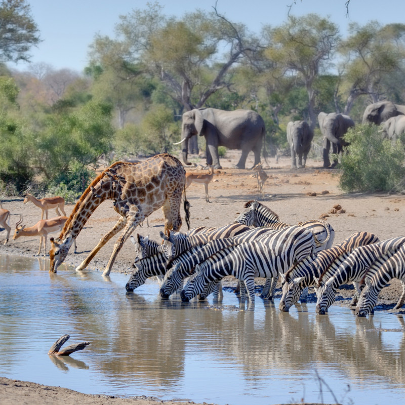 tour kruger national park
