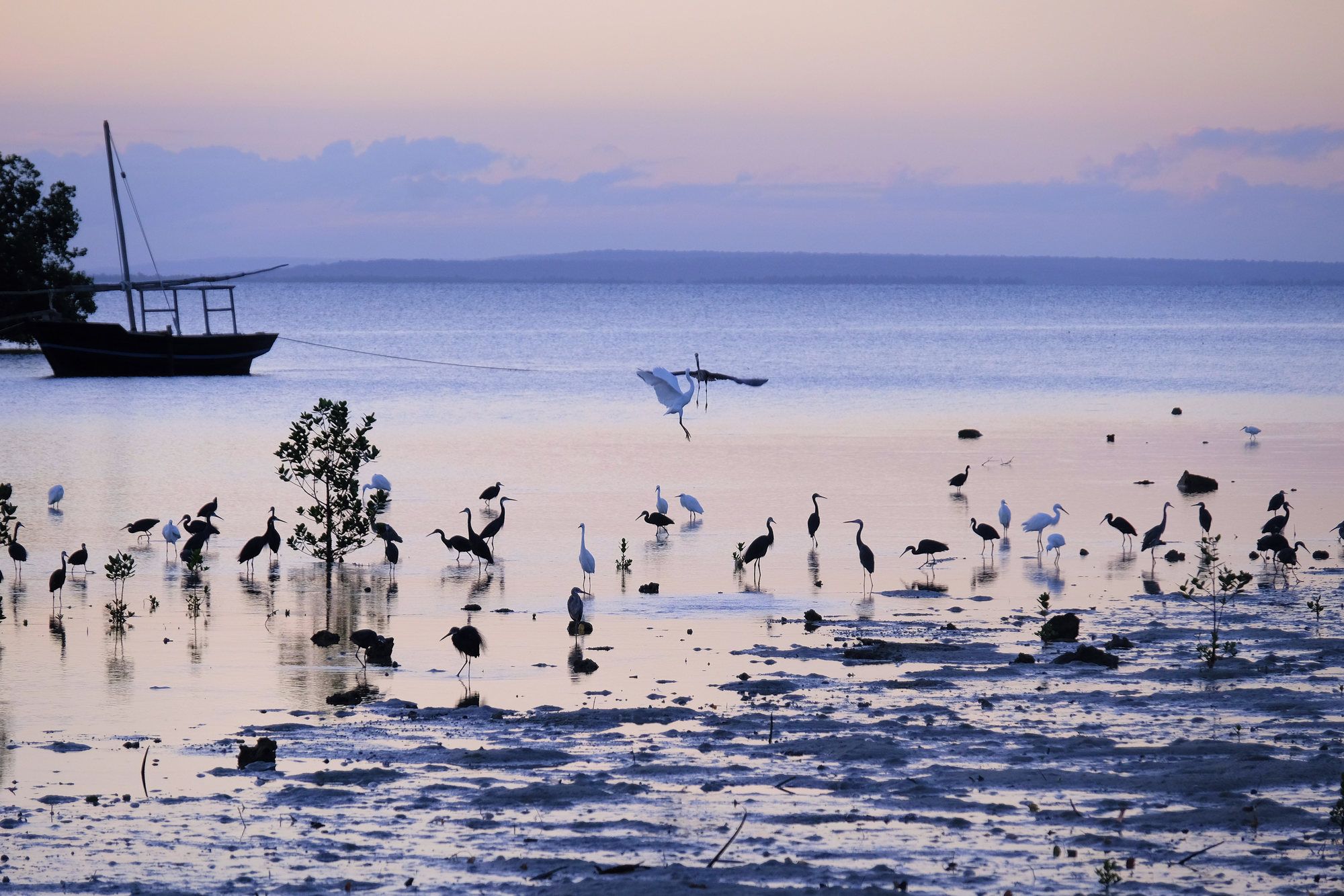 Al tramonto l’isola di Ibo assume un fascino spettrale e unico ©Eddie Gerald/Getty Images