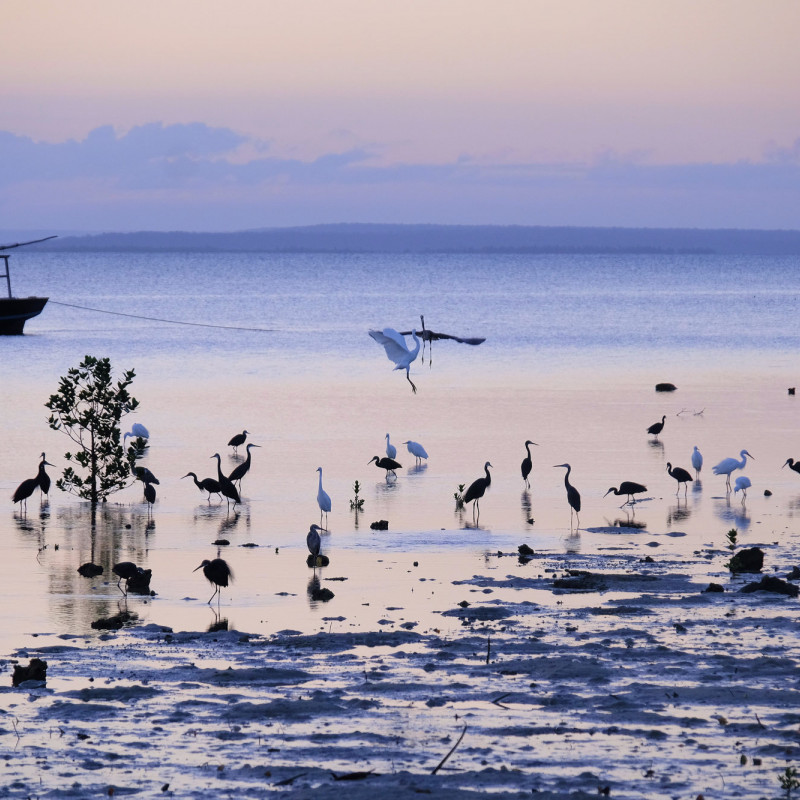 Al tramonto l’isola di Ibo assume un fascino spettrale e unico ©Eddie Gerald/Getty Images
