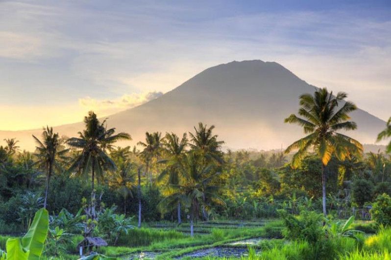 Palme, risaie nebbiose e vulcani si profilano nell'esotico panorama di Bali. Foto di Michele Falzone/Digital Vision/ Getty Images