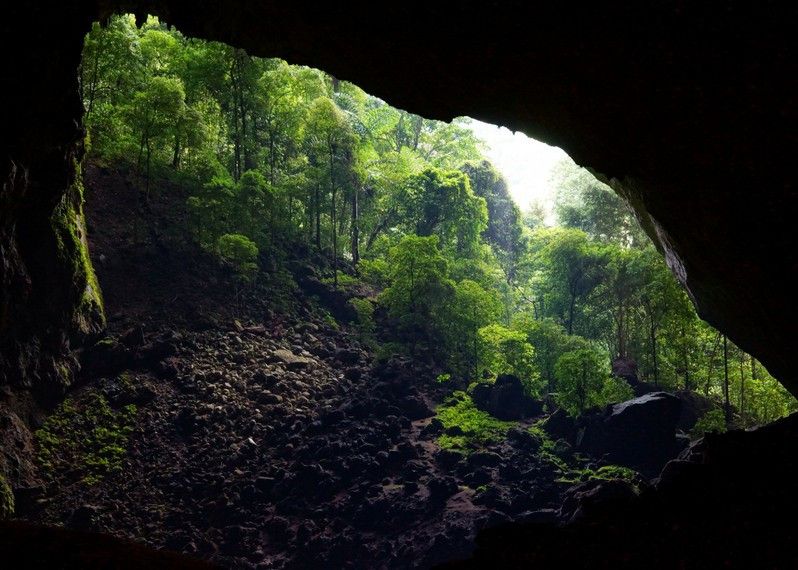 Parco Nazionale Gunung Mulu, Sarawak, Malaysia.
©Patrick Gijsbers/Getty Images/iStockphoto