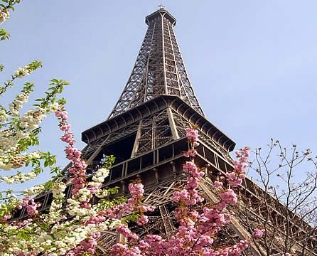 Parigi, una nuova primavera © Fotografia di Lorenzo Di Sansebastiano