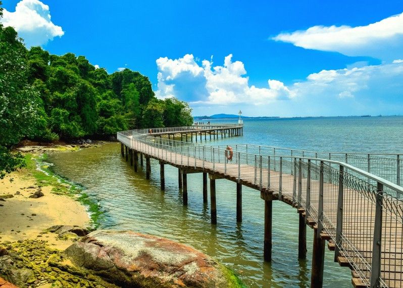 Passerella lungo la spiaggia sull’isola di Pulau Ubin, Singapore.
©AliB_Photography/Getty Images