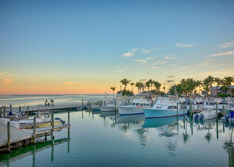 Pescherecci sulle acque blu di Key Largo.
©alex grichenko/Getty Images