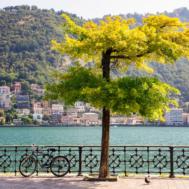 Il paesaggio dal lungolago  © Denis Galushka/Shutterstock