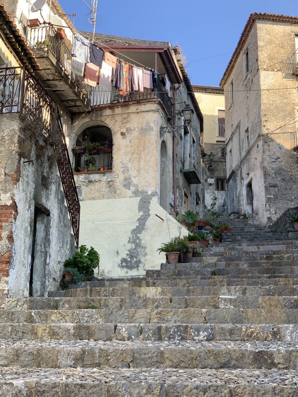 Scalea