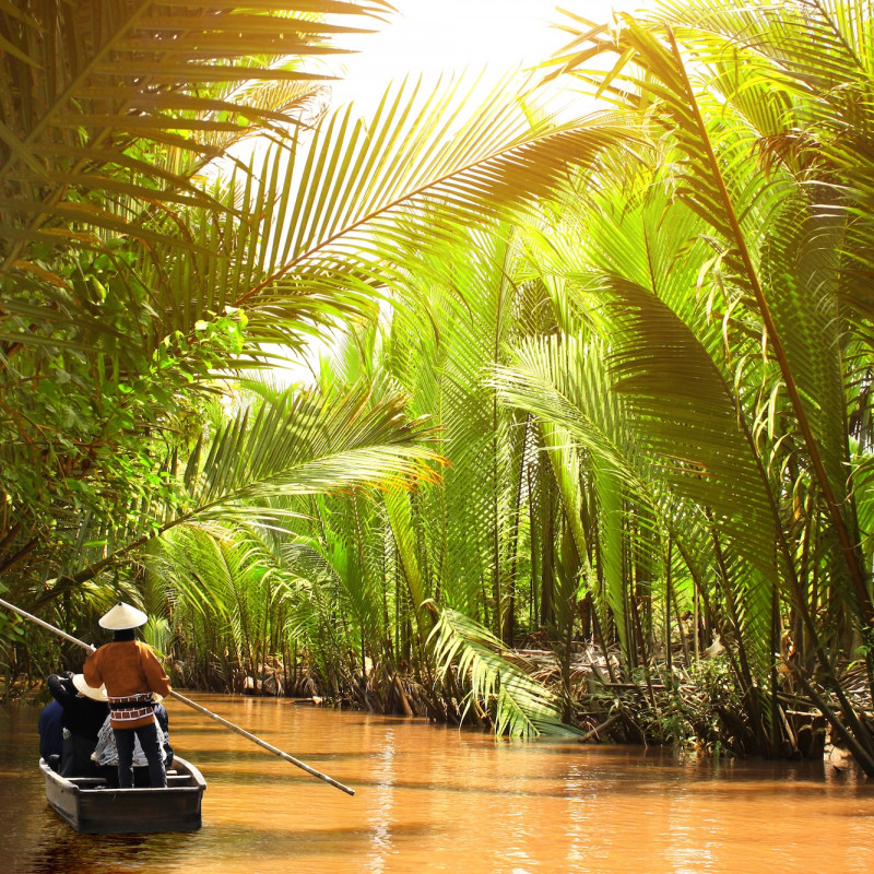 Sul Mekong in Vietnam © FrentaN/Shutterstock