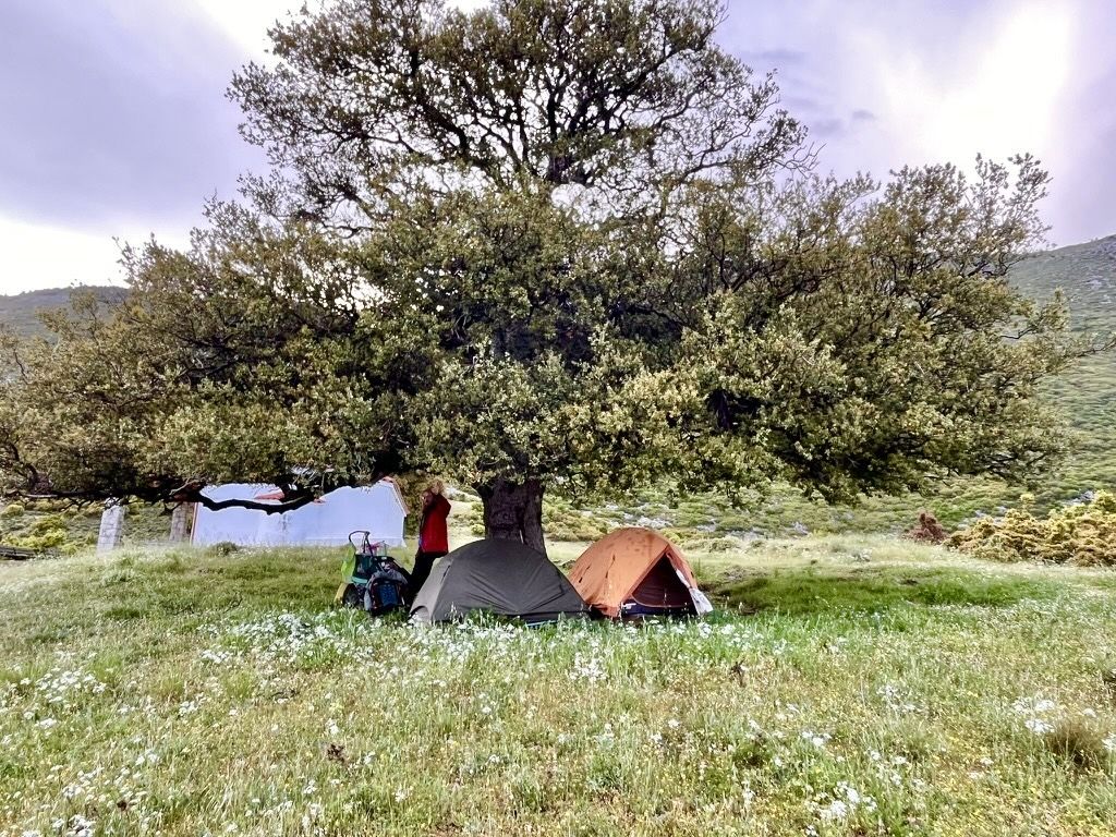 L’accampamento per la notte © Giulia Grimaldi/Lonely Planet Italia