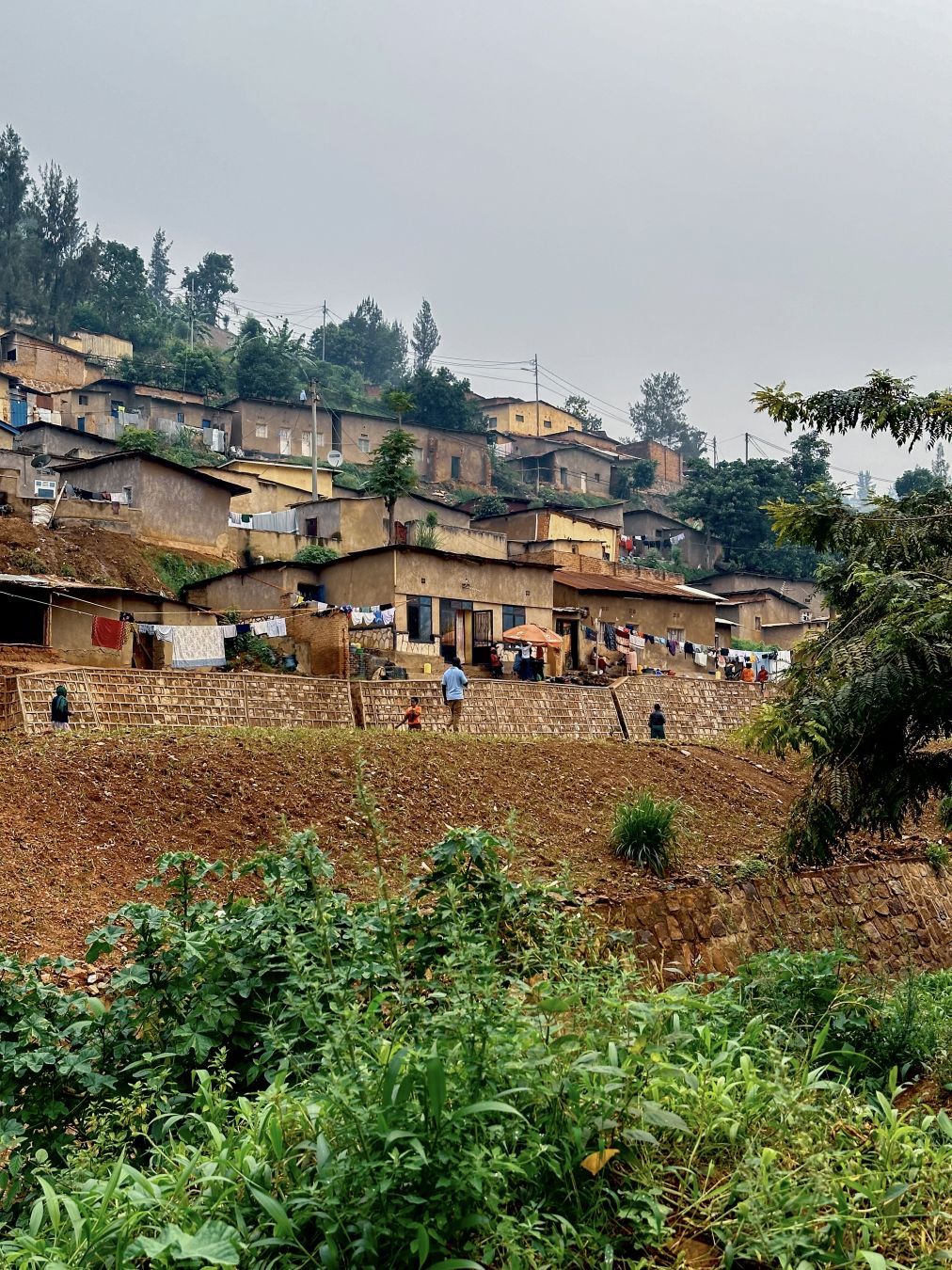 Vista su Kimisagara ©Anna Ortica/Lonely Planet Italia