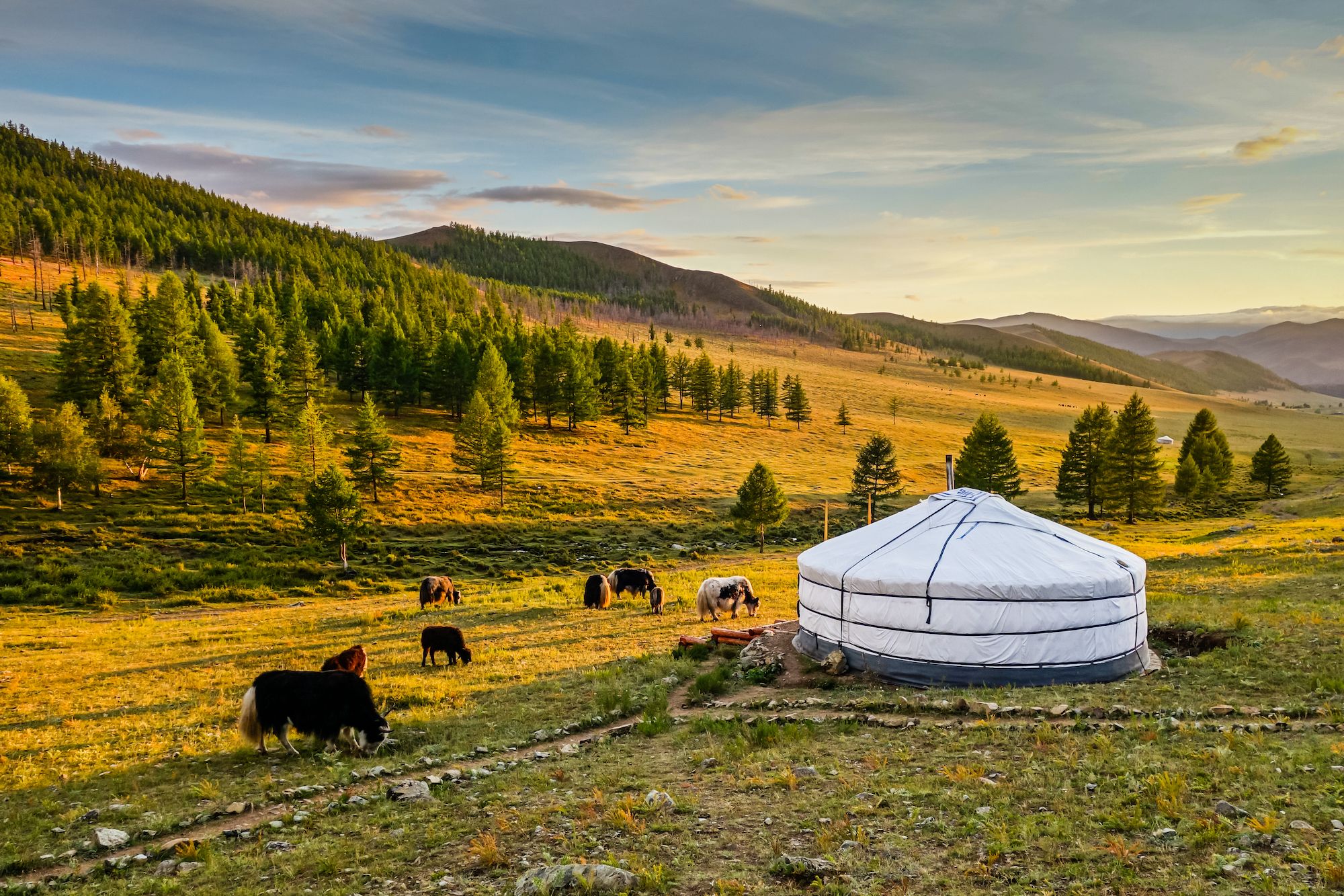 Yurta in Mongolia