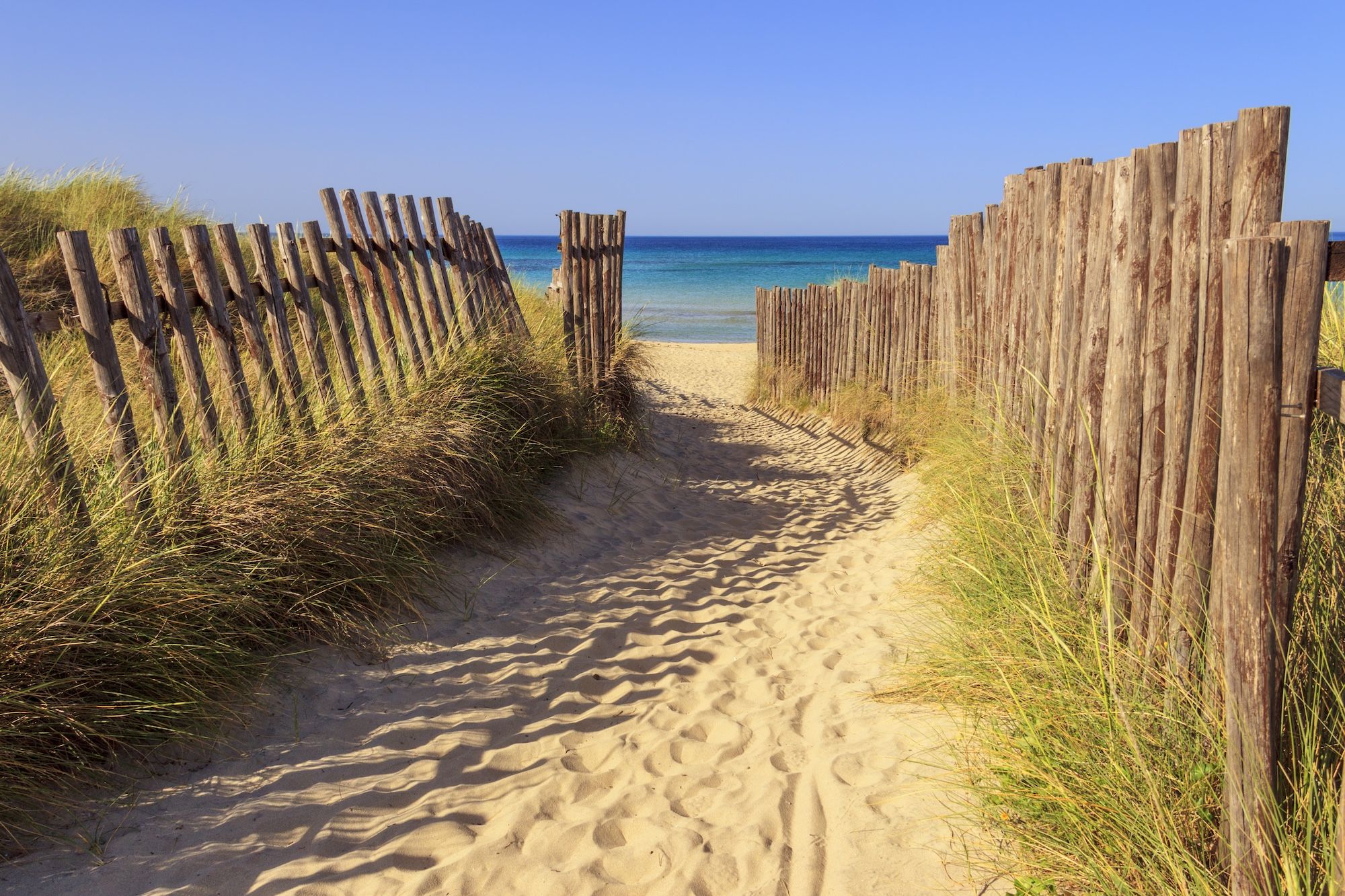Il parco delle Dune Costiere a Torre Canne ©vololibero / Shutterstock