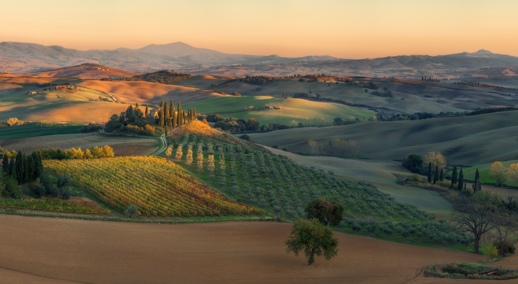 I colori d’autunno in Val d’Orcia © Naumenko Aleksandr / Shutterstock
