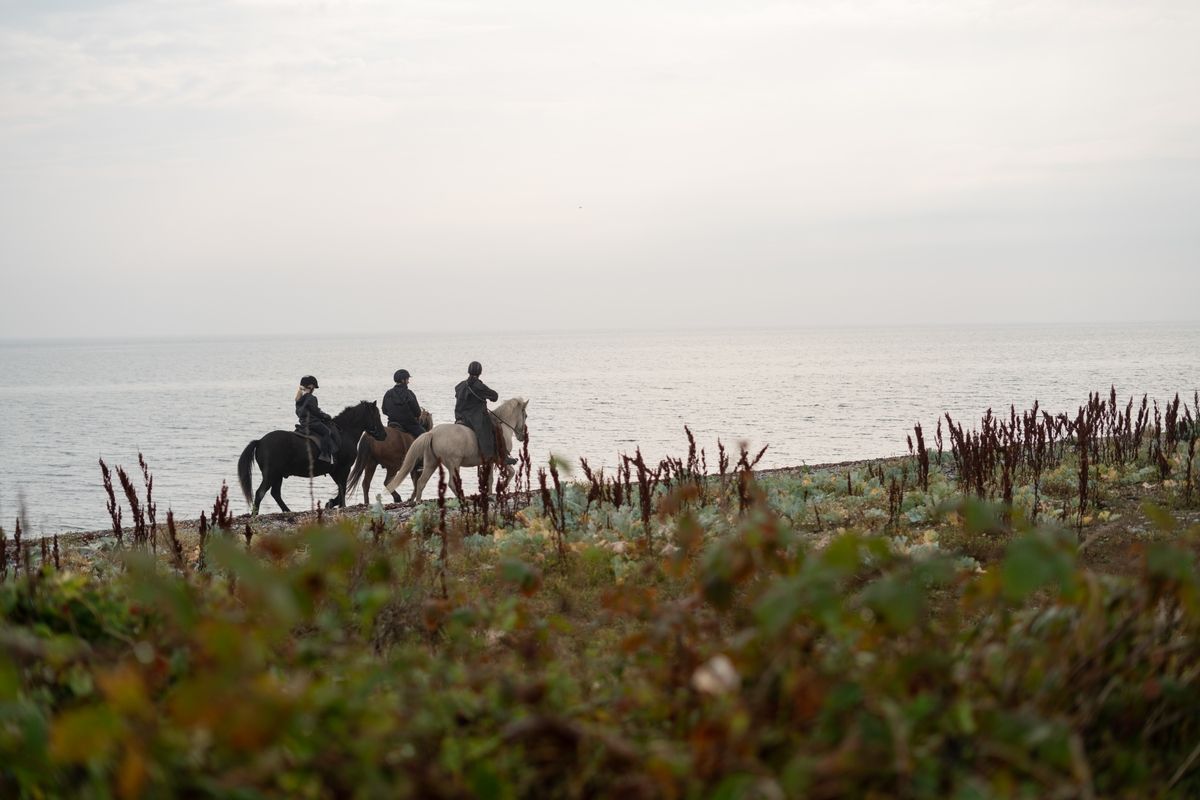 L’Isola di Endelave è perfetta per essere visitata a cavallo © David Jervidal