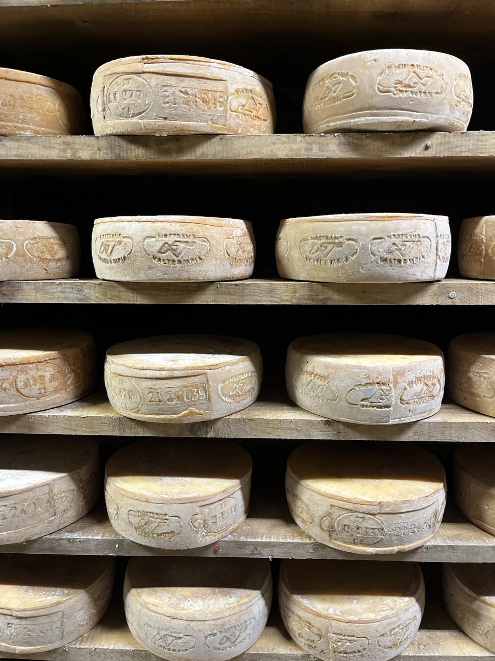 Il formaggio Nostrano Val Trompia, stagionato in miniera  ©Giulia Grimaldi/Lonely Planet