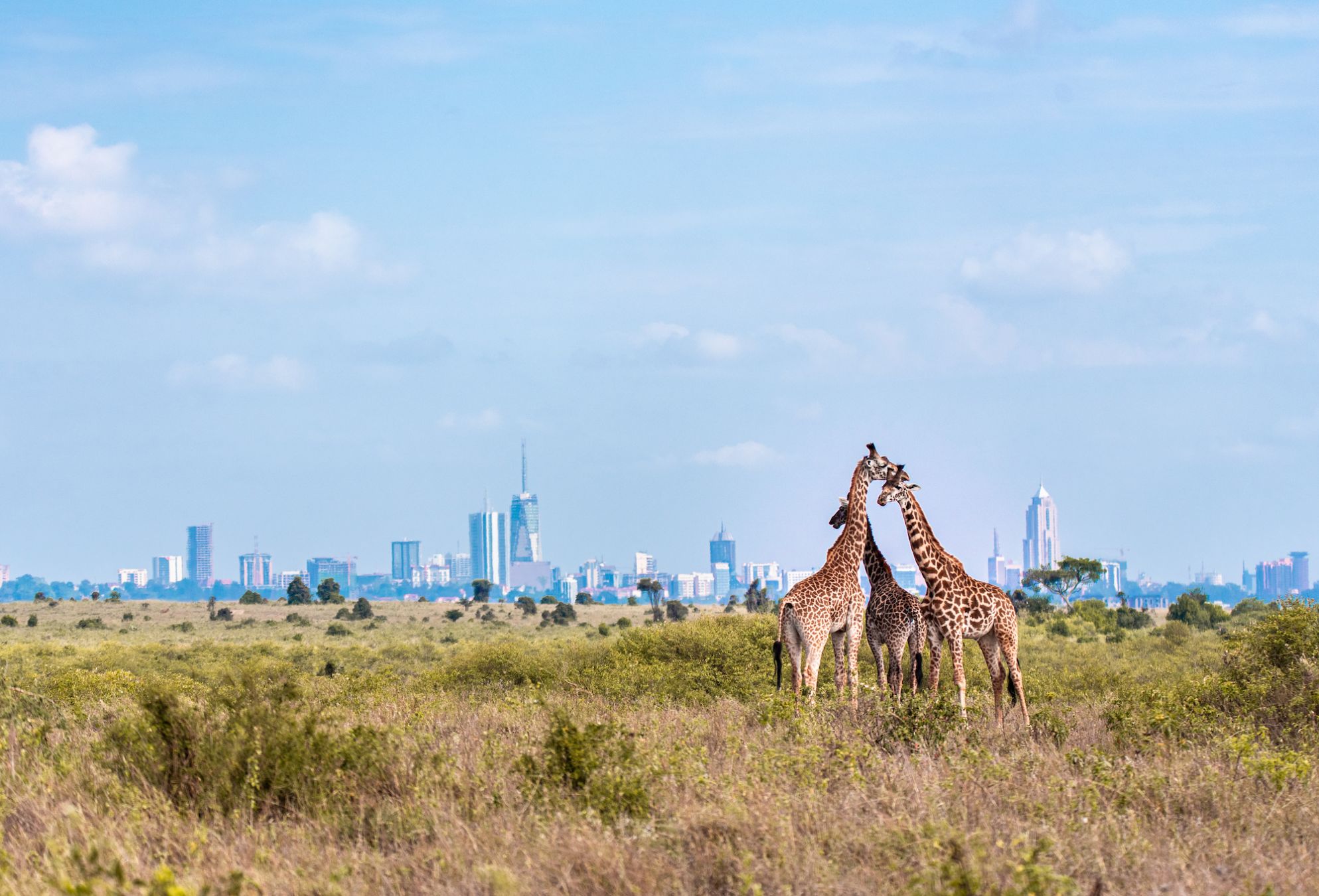 Il Parco Nazionale di Nairobi ©Karan Khalsa/Shutterstock