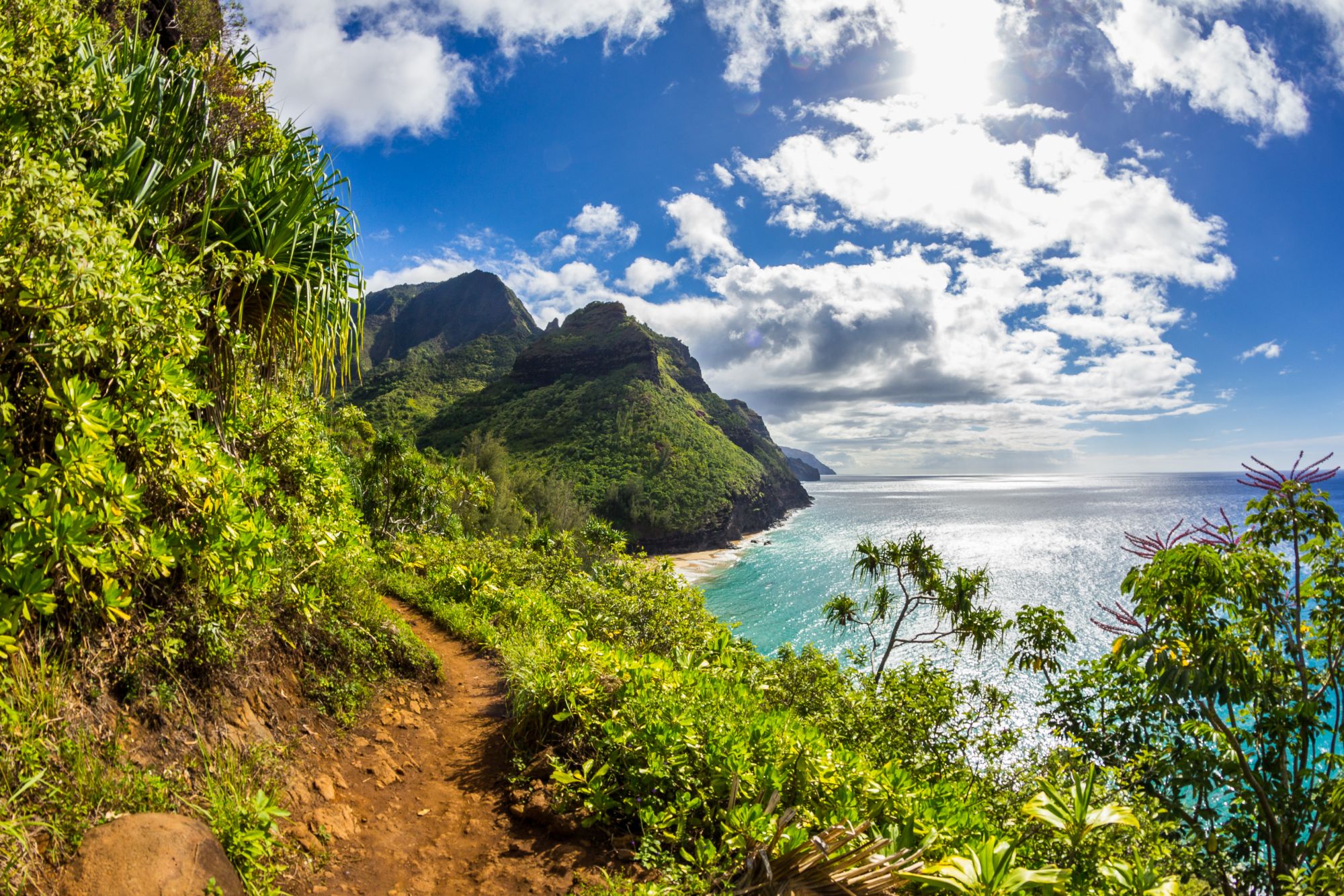 Oceano e vegetazione lungo il Kalalu Trail alle Hawaii
