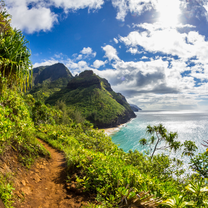 Oceano e vegetazione lungo il Kalalu Trail alle Hawaii