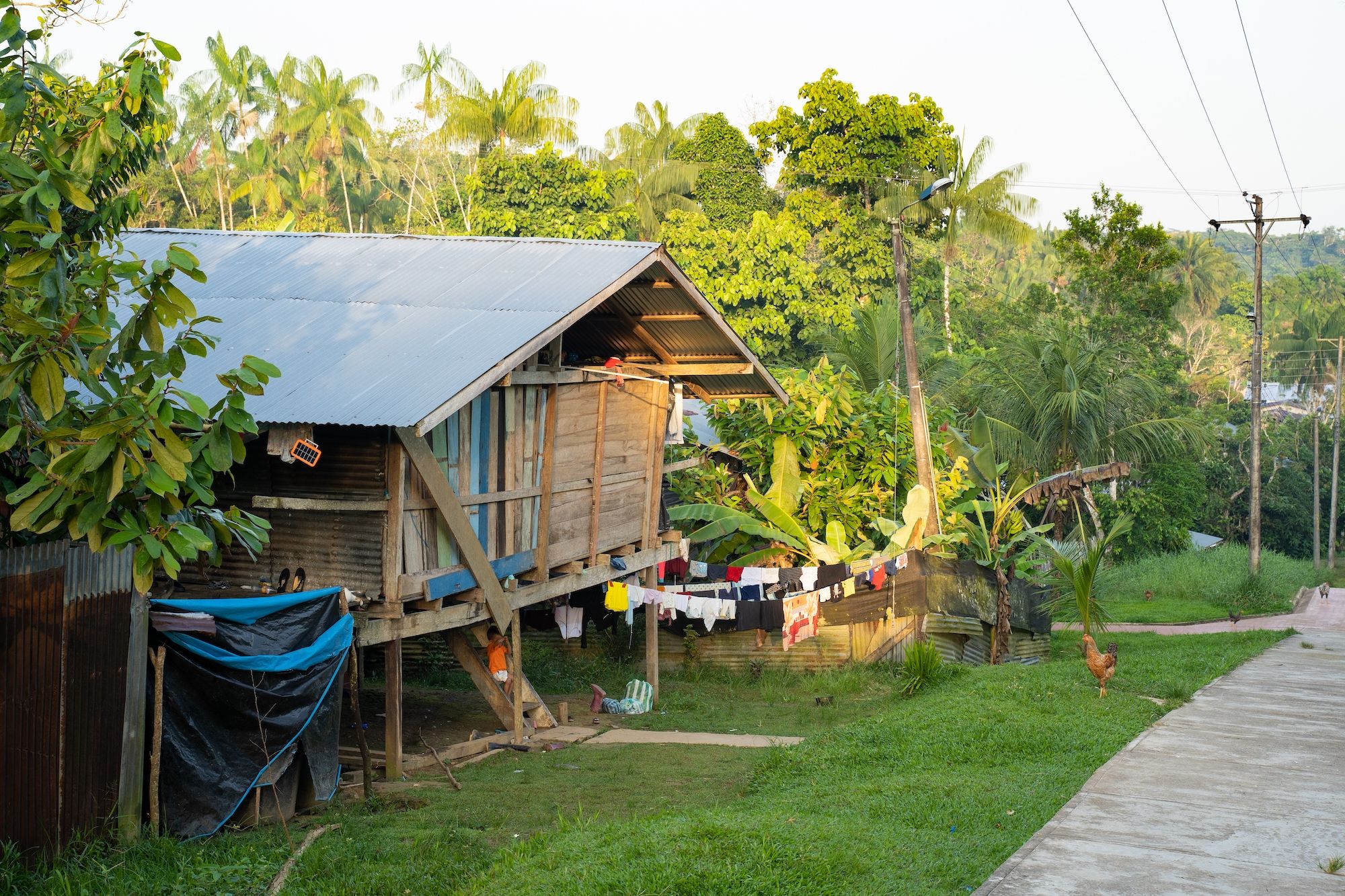 A Puerto Nariño sono ammessi soltanto due veicoli ©MatthieuCattin/Shutterstock