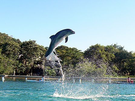 Roatán, Honduras: ti salverà lui dai pirati dei Caraibi © Marta Bravi