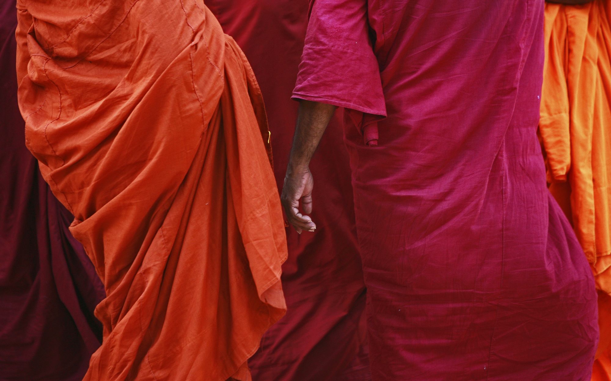 Monaci buddisti in un tempio a Colombo, Sri Lanka ©ertyo5/Getty Images