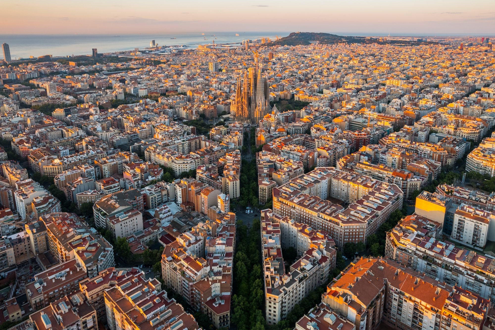 Da settembre a novembre 2024, Barcellona ospiterà Manifesta 15 ©Vunav