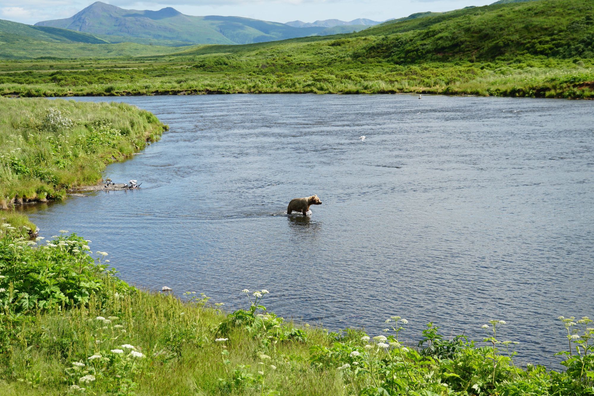 Kodiak Island, Alaska ©McDermott Images/Shutterstock