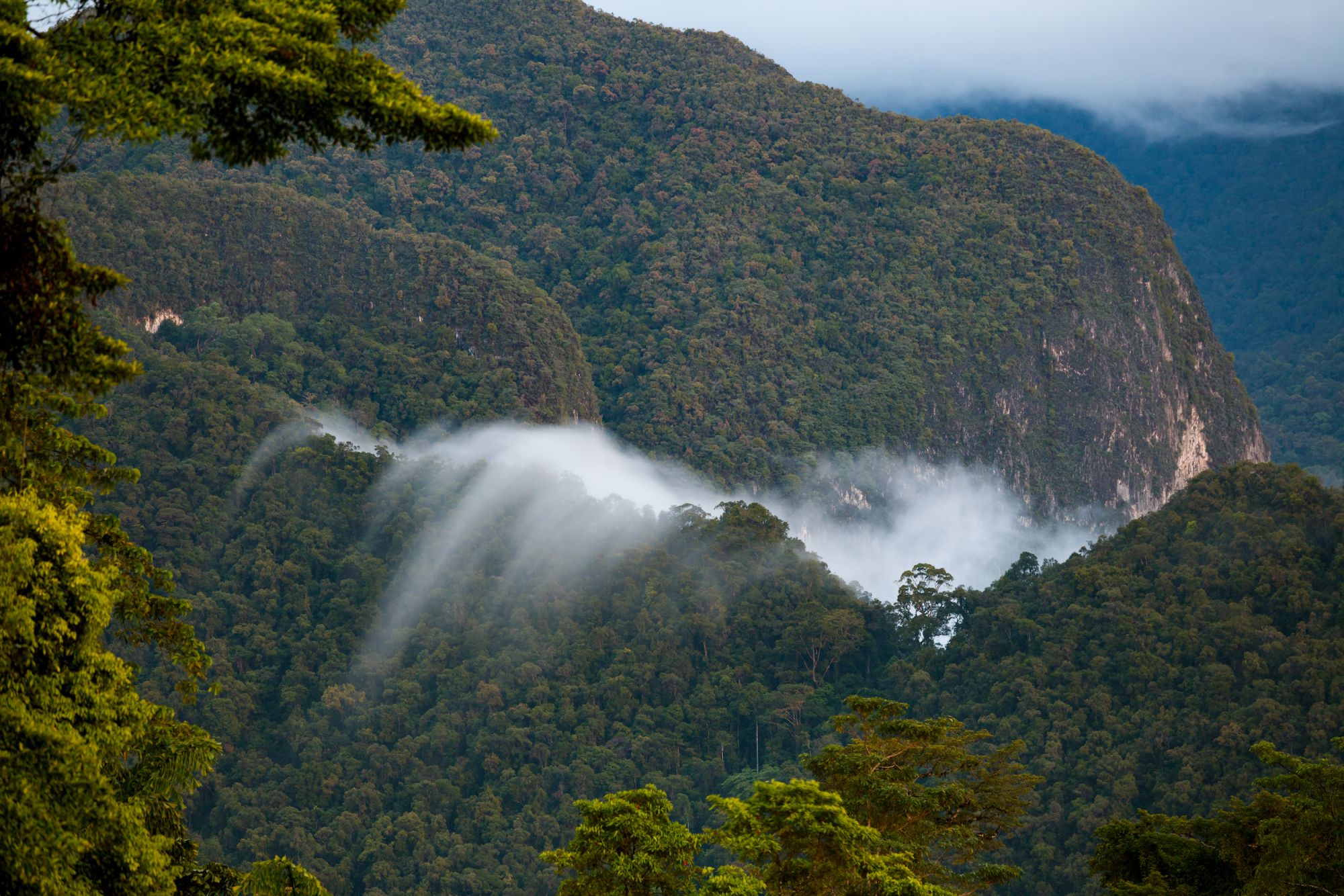 Un avventura nel Borneo avventure nel Gunung Mulu Un avventura nel Borneo avventure nel Gunung Mulu