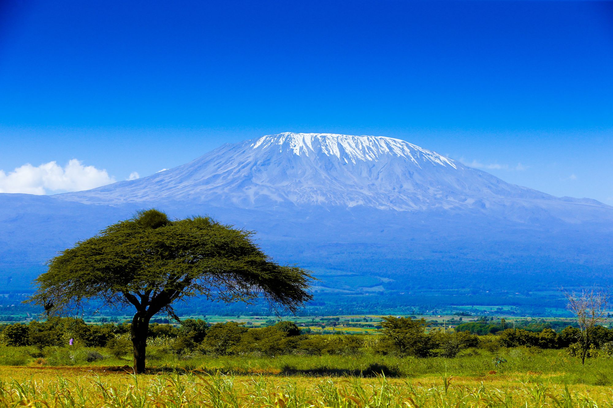 Trekking sul Kilimanjaro tutto quello che c da sapere Trekking sul Kilimanjaro tutto quello che c da sapere