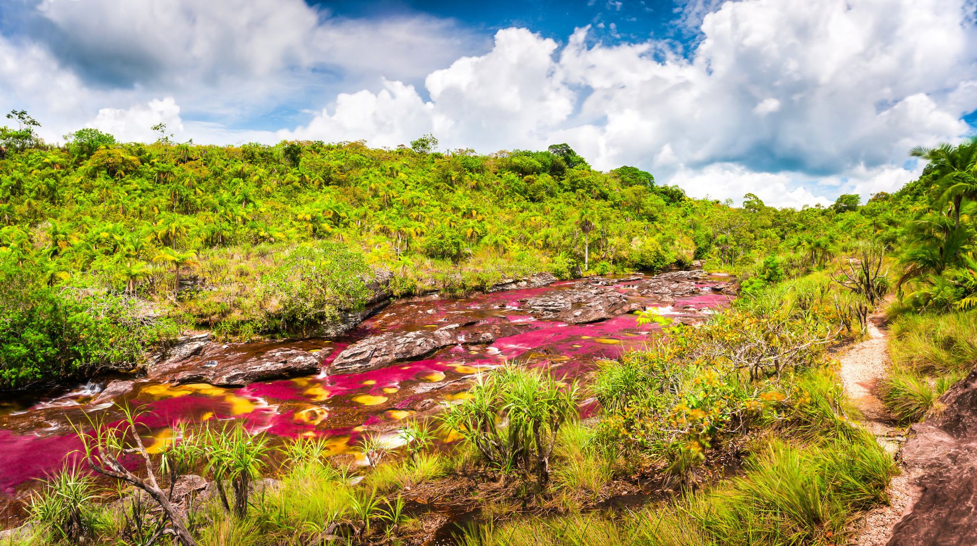 Esplorate il Río Guayabero ©VarnaK/Shutterstock