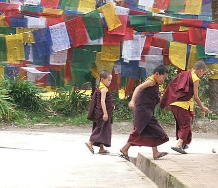 Sikkim, preghiere buddhiste © Fotografia di Eleonora De Pisa